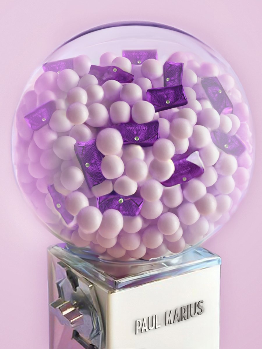 Fotoansicht-Leder-Geldbörse-violett-metallic-legustave-bonbon-paul-marius-clp-m-p