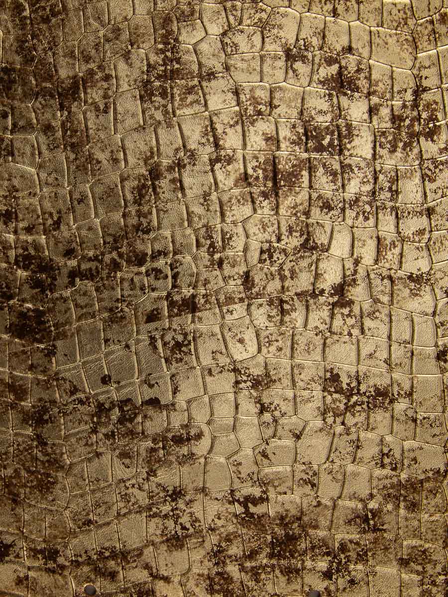 Geldbörse-legustave-bijoux-dore-vue-zoom-matiere-clp-cr-db-g