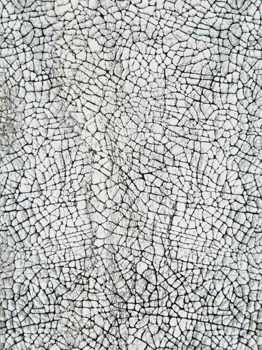 sac-bandouliere-diane-xs-miroir-argente-vue-zoom-matiere-w35xs-mir