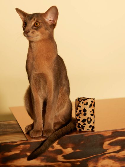 LeGustave Leopard – Beige