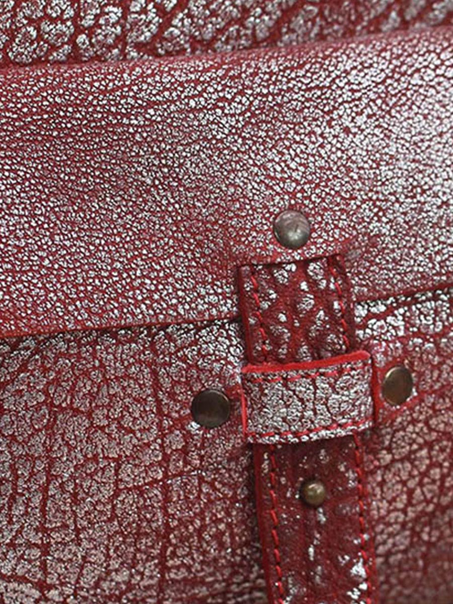 Foto-Material-Umhängetasche-Leder-Damen-silberfarben-LeRive Gauche-M-ziegelrot-silberfarben-Paul Marius-W01M-RS