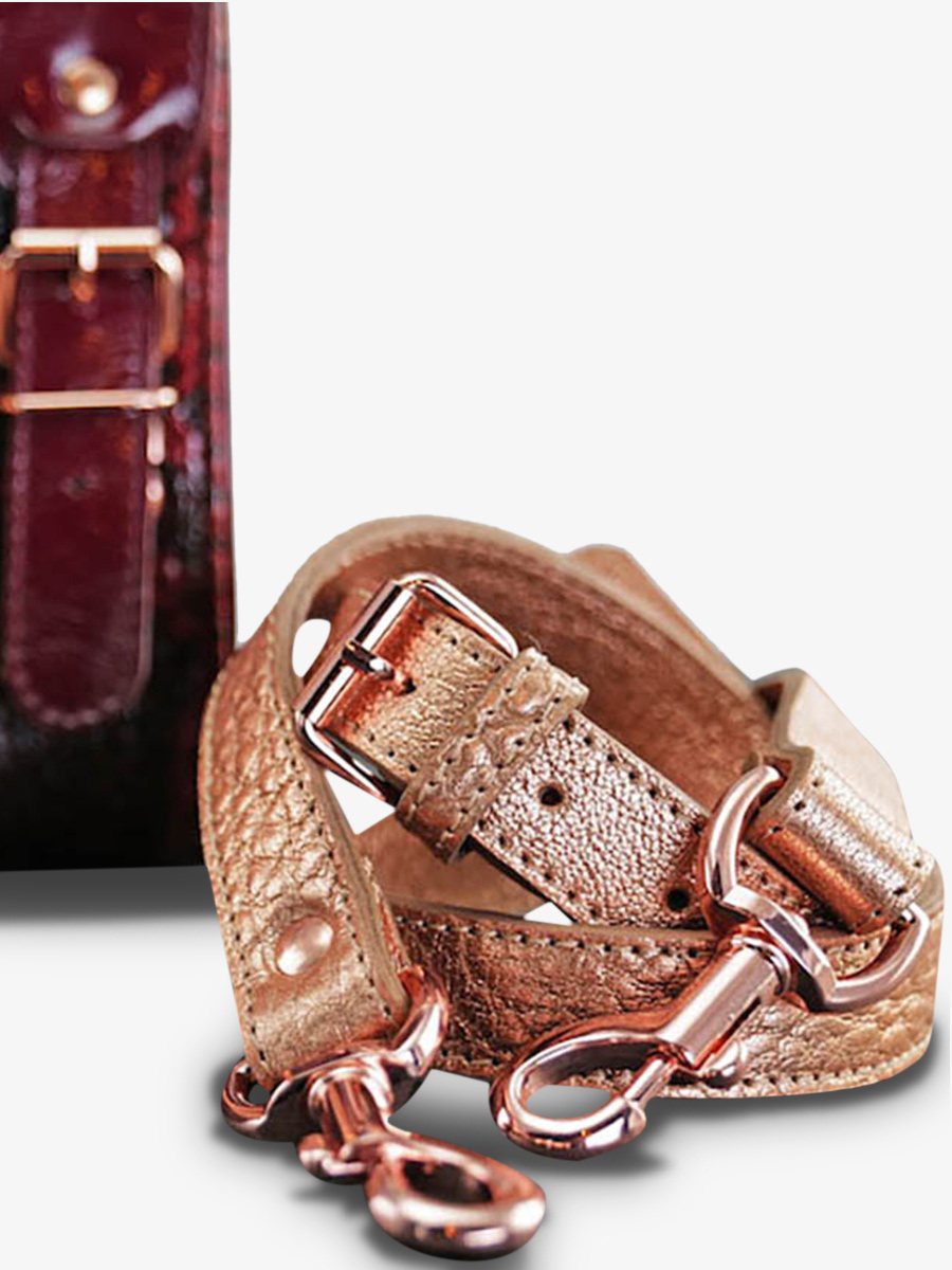 Foto-Rückansicht-Umhängetasche-Leder-Damen-LeRive Gauche S-Passion-Paul Marius-W01S-PA